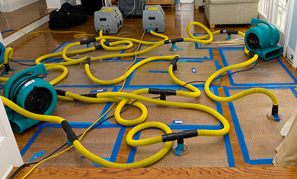 Professional Flood Damage Restoration technician working in Bernalillo, NM